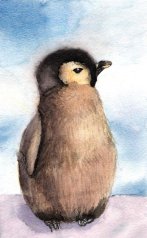 Baby-Penguin-penguins-26991975-600-974